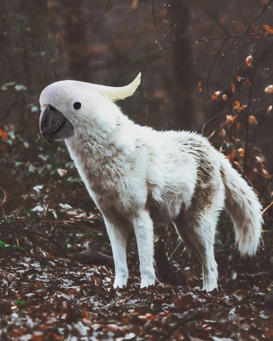 Арне Олав Гурвин