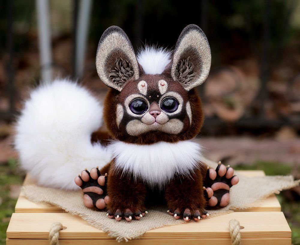 Магадаскарзкий глазо ух