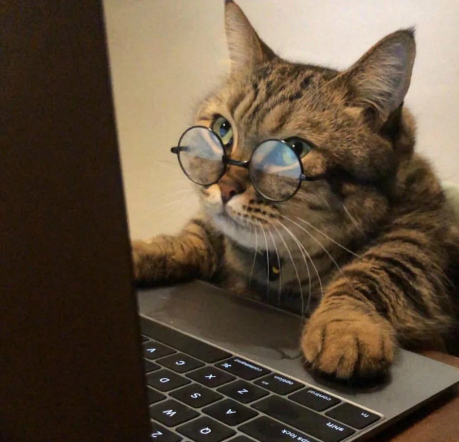 Иван Царевич и серый волк кот ученый