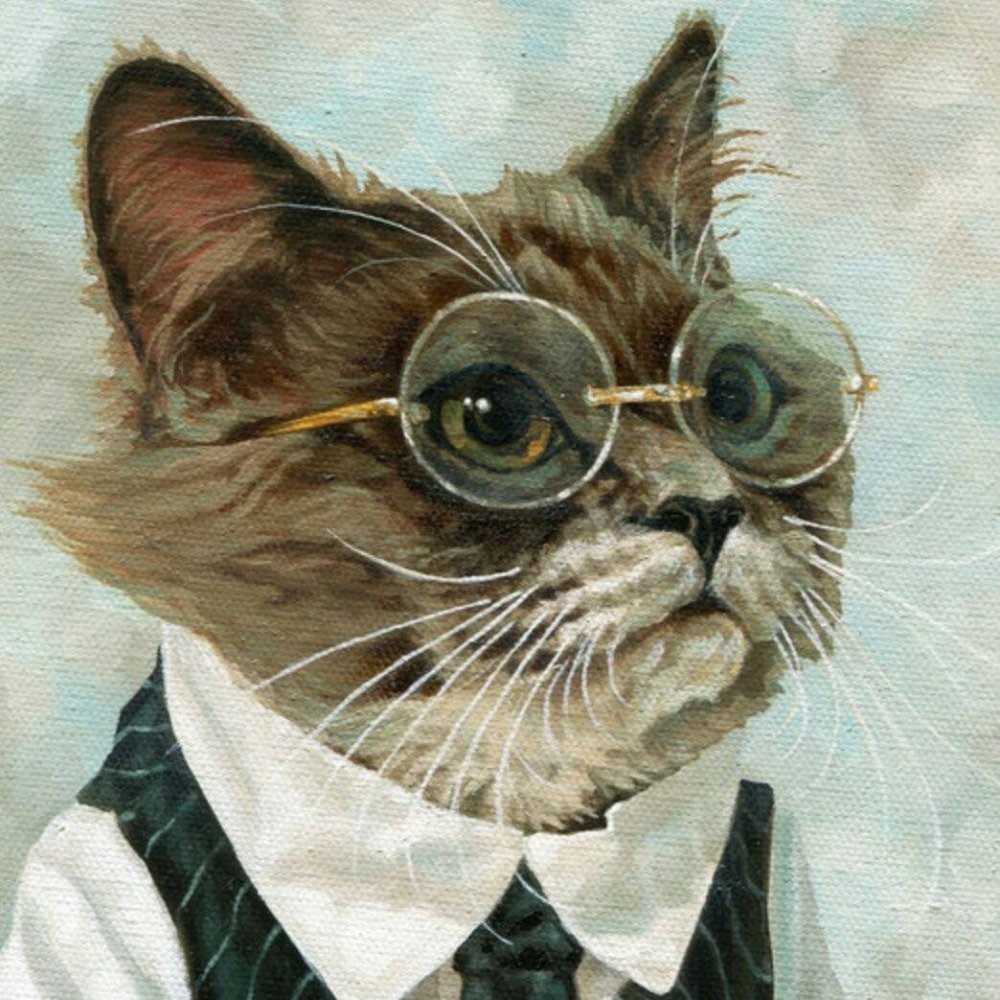 Котик с указкой