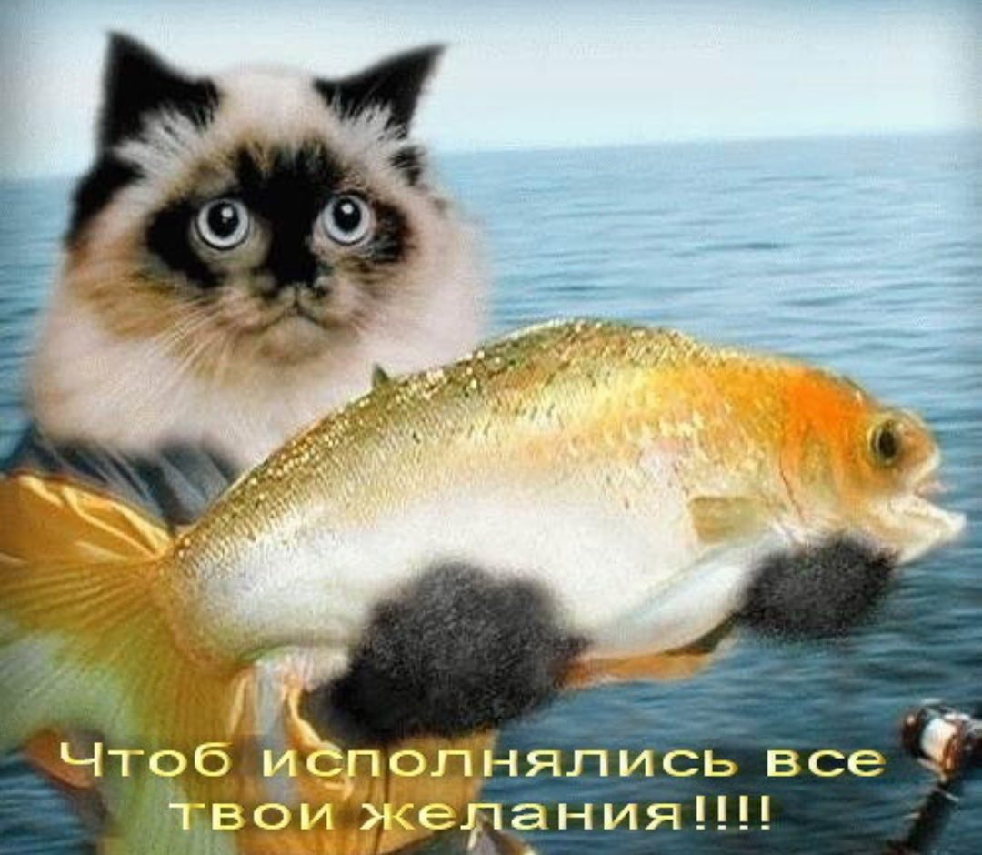 Мемы с рыбой и с рыбой
