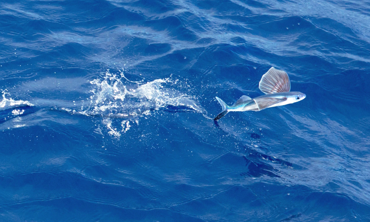 Сюрреализм небо