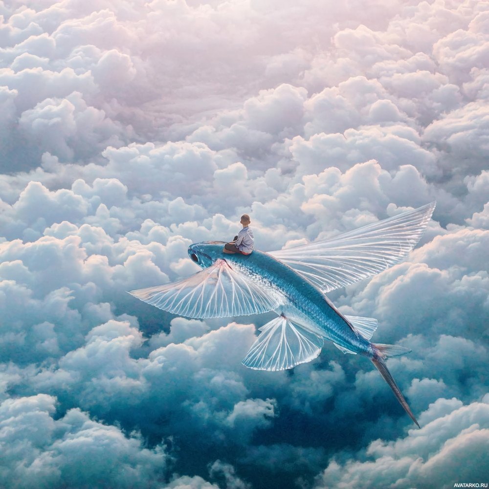 Летучие рыбы стая