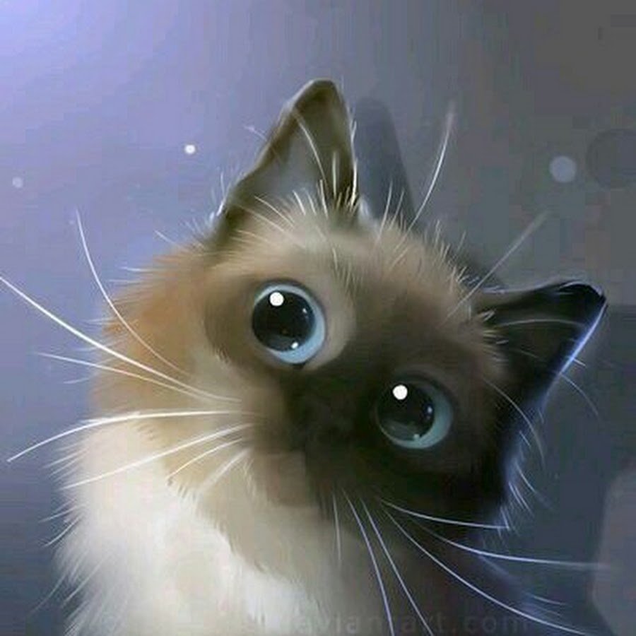 Сиамский котенок 3 месяца