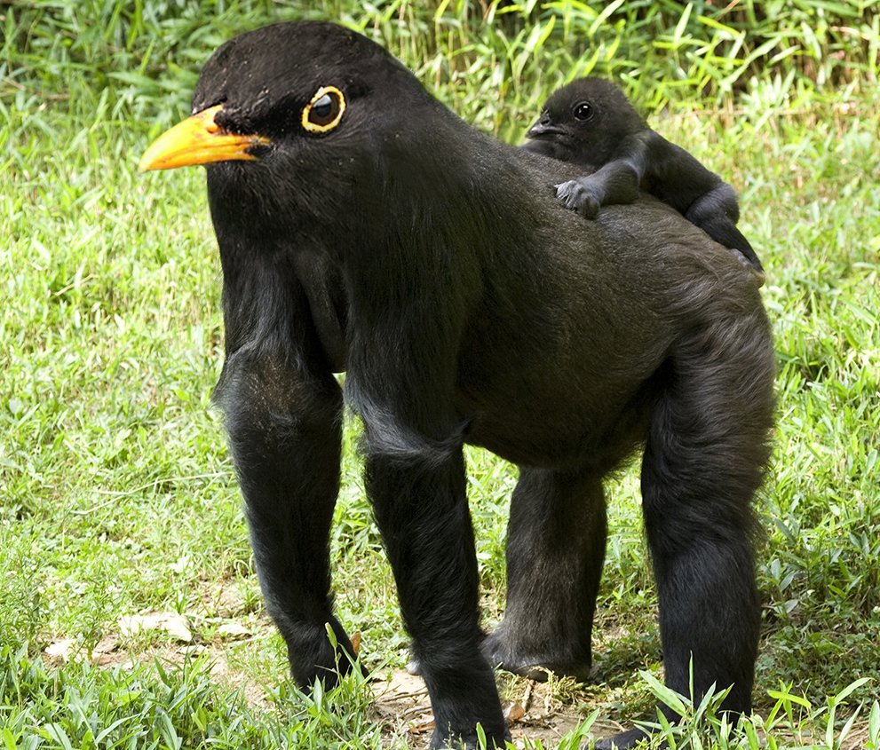 Арне Олав Гурвин