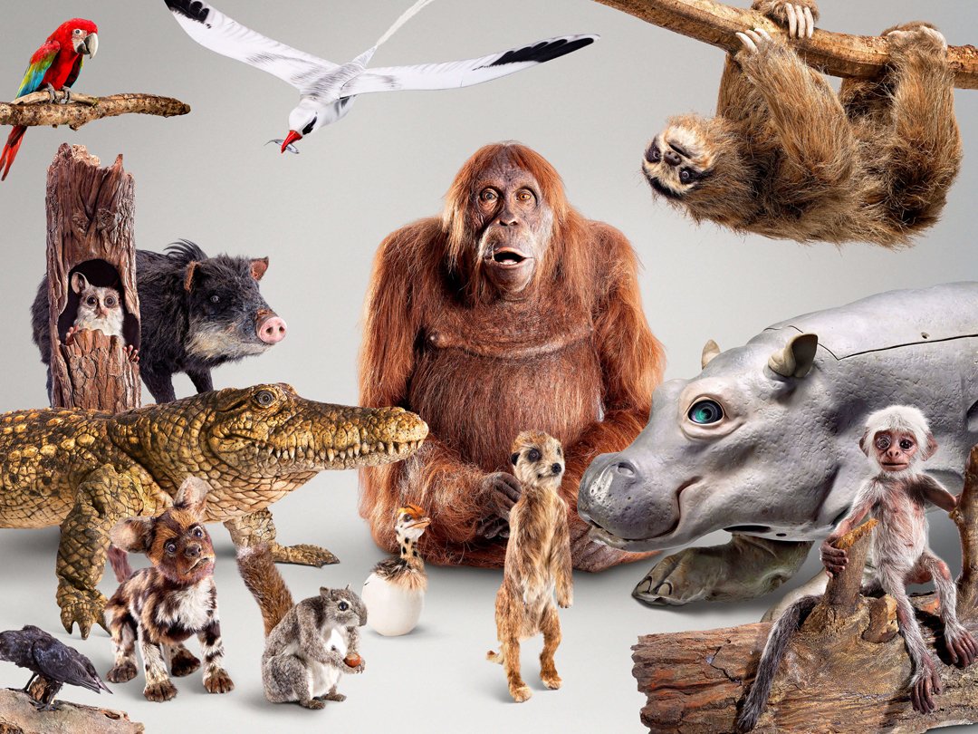 Роботы шпионы в дикой природе