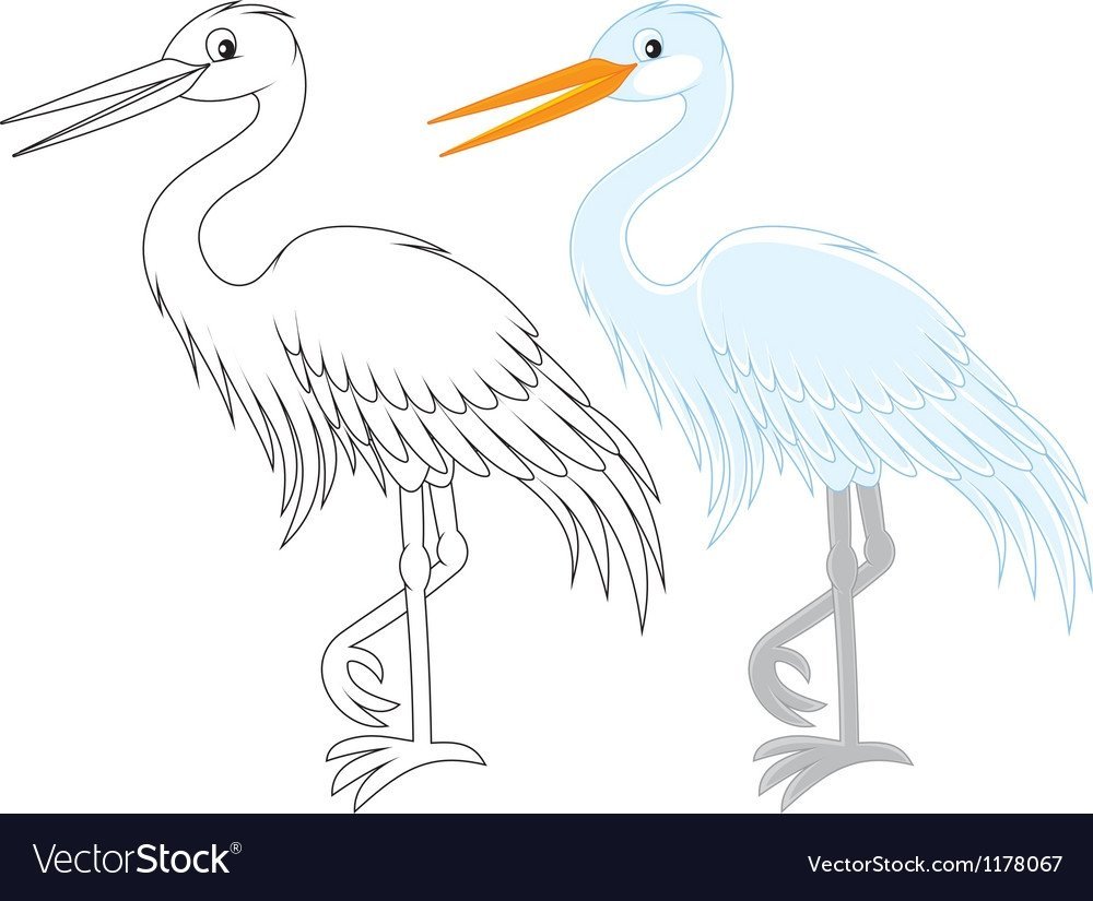 Большая белая цапля Векторная