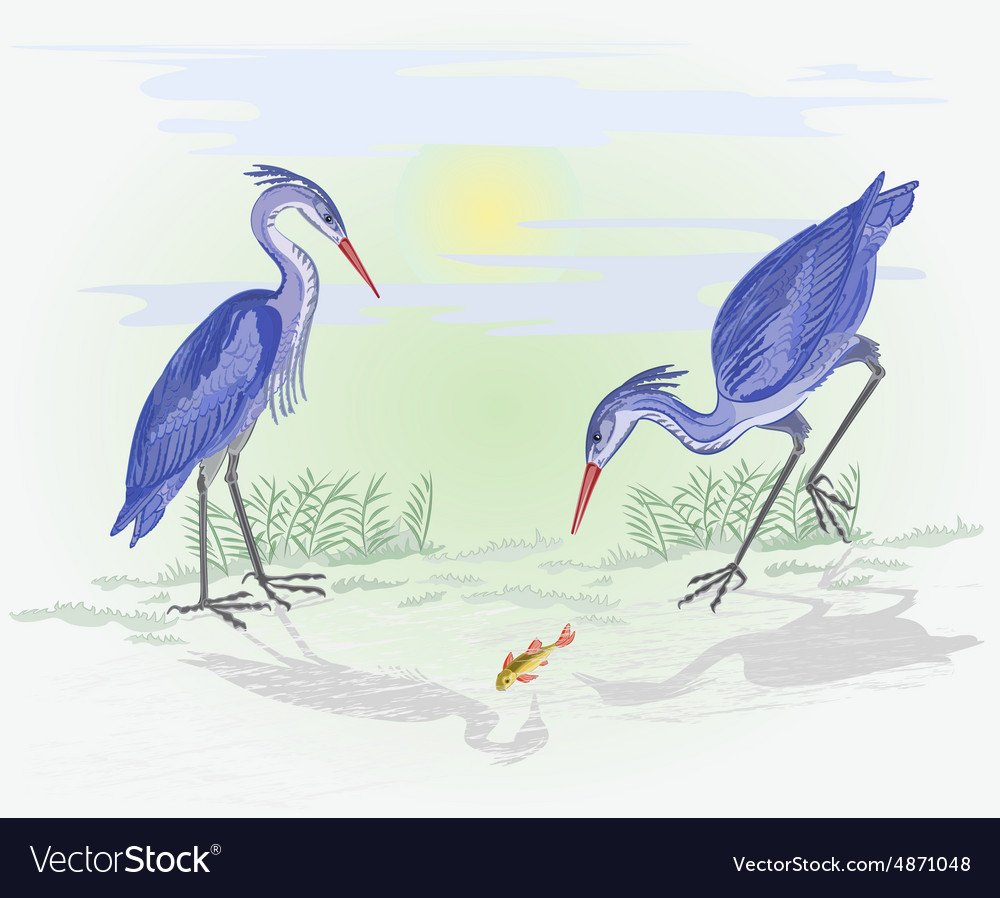Цапля с рыбами рисунок