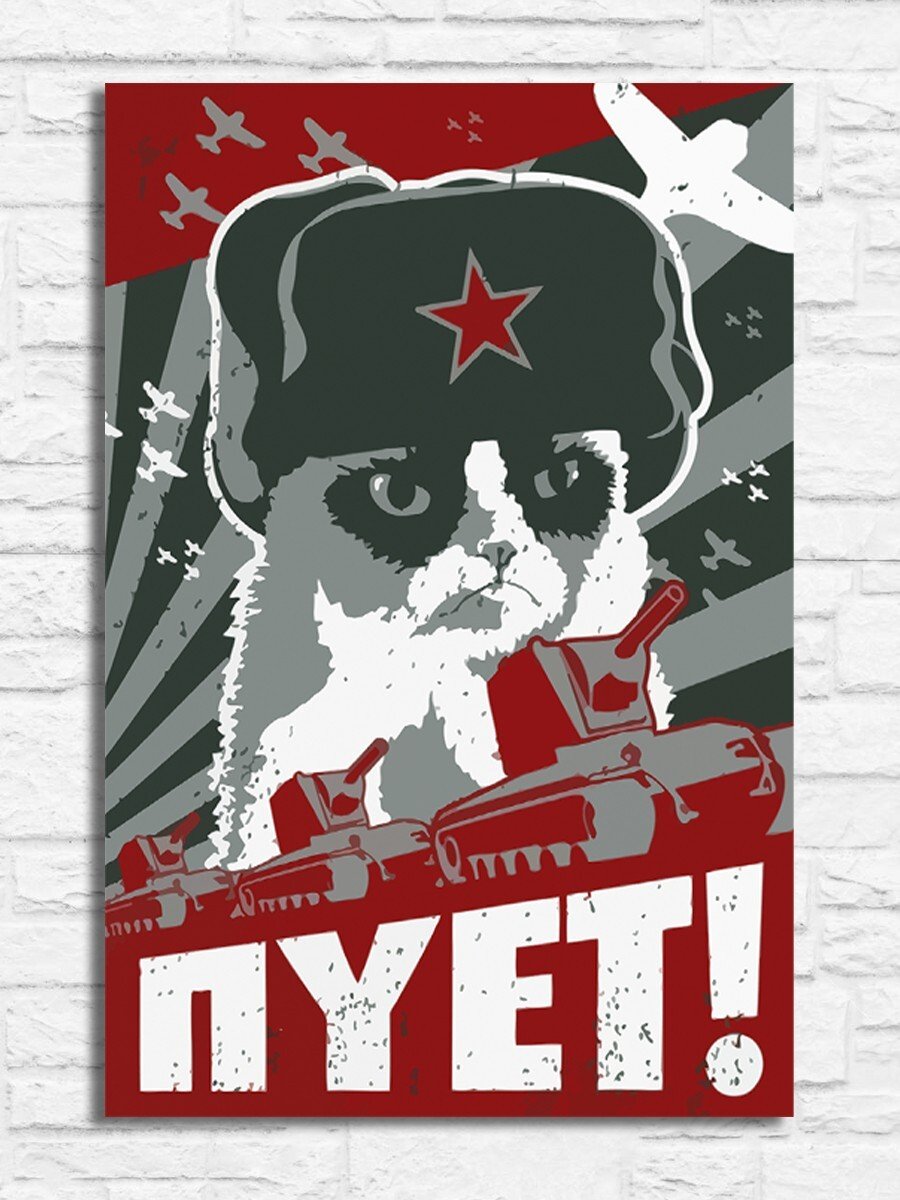 Котик в военной шапке