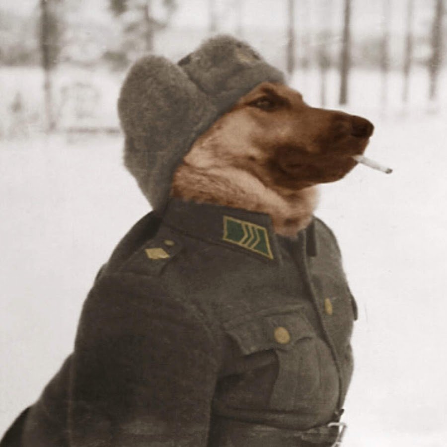 Медведь в ушанке СССР