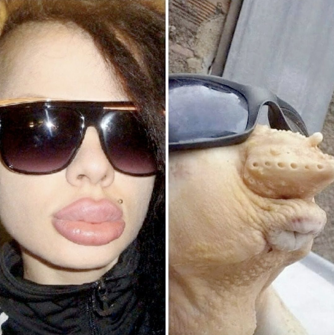 Рыба каторжник Овцеголов