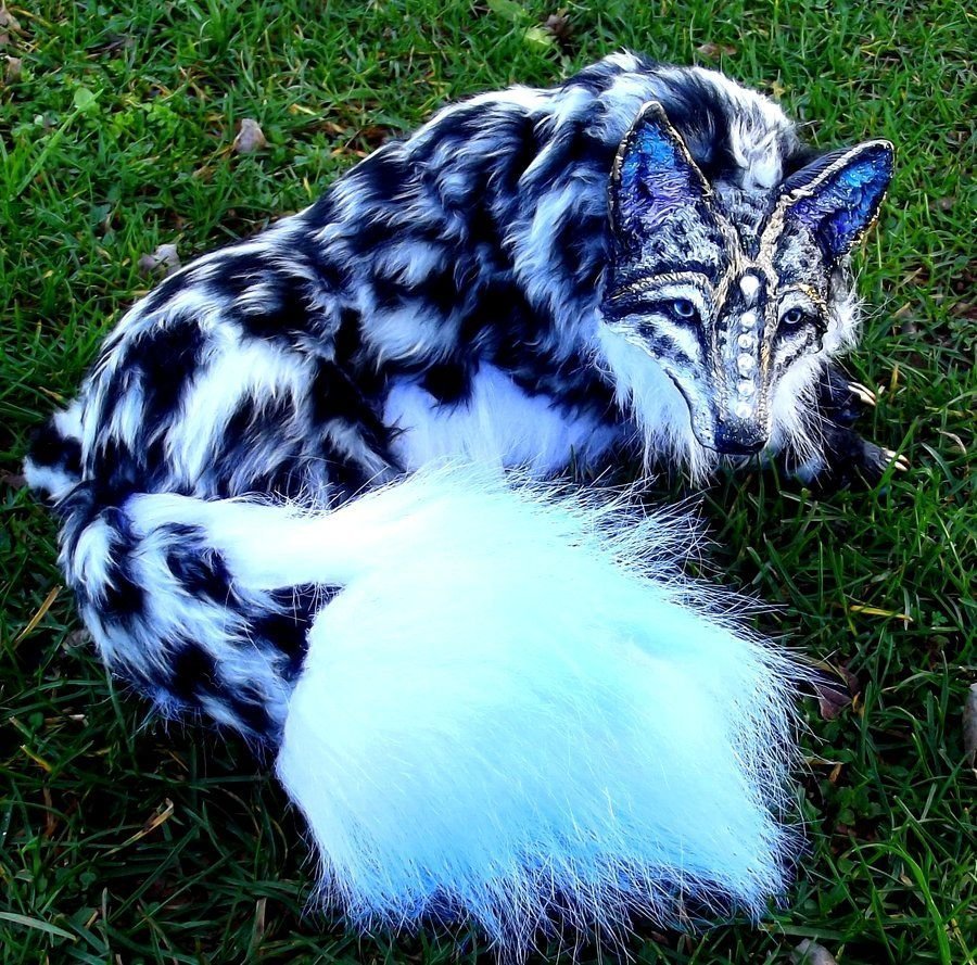 Девон рекс Ориентал