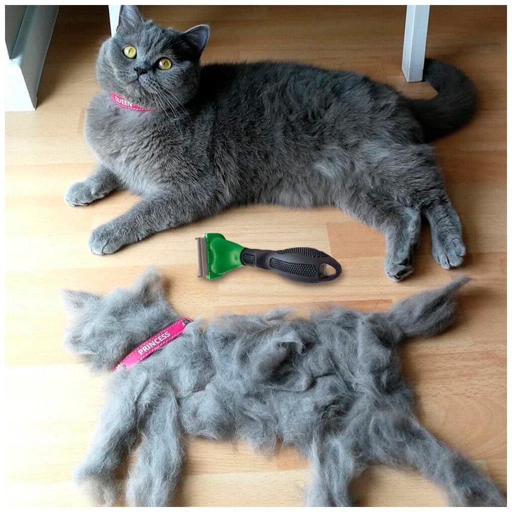 Кошка линяет