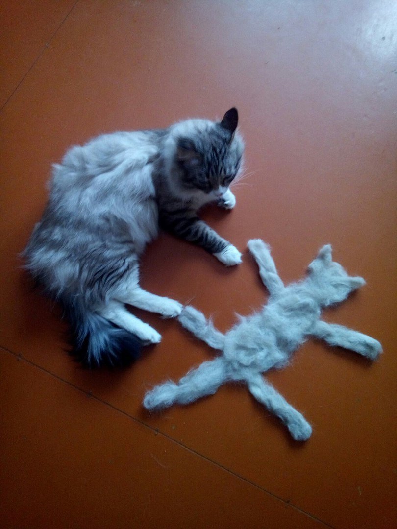 Шерсть от домашних животных