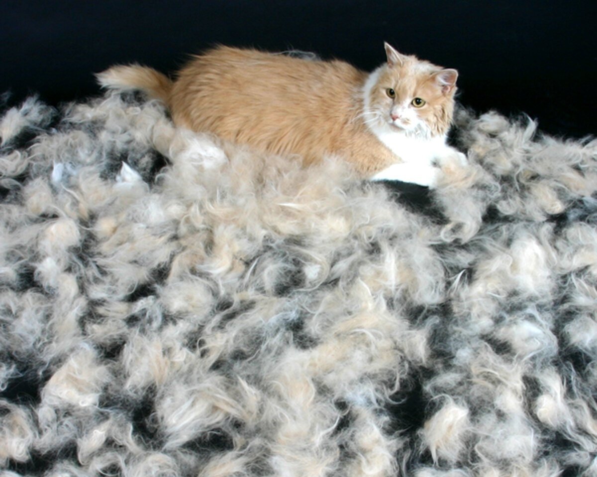 Фурминатор для кота