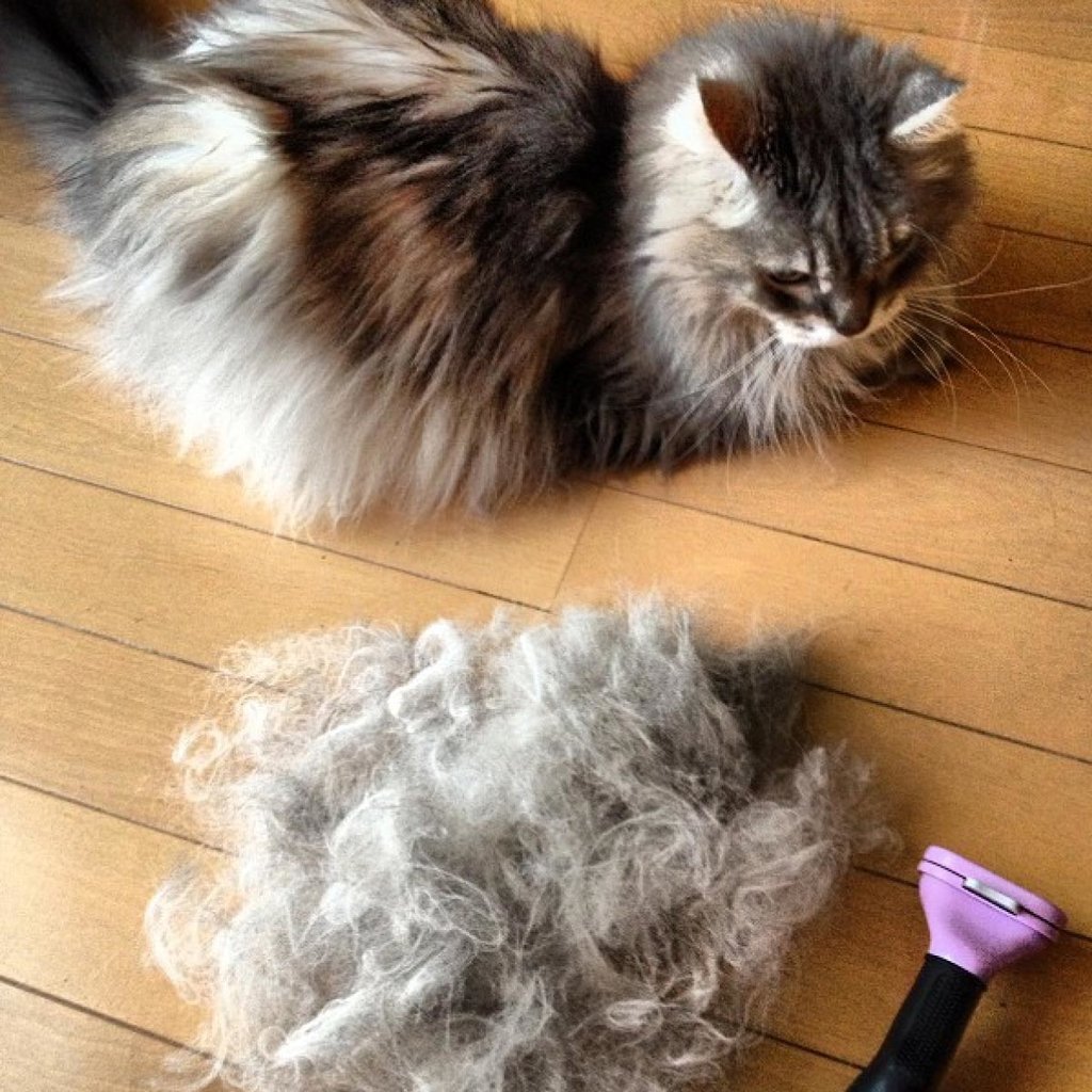 Фурминатор для Мейн кунов