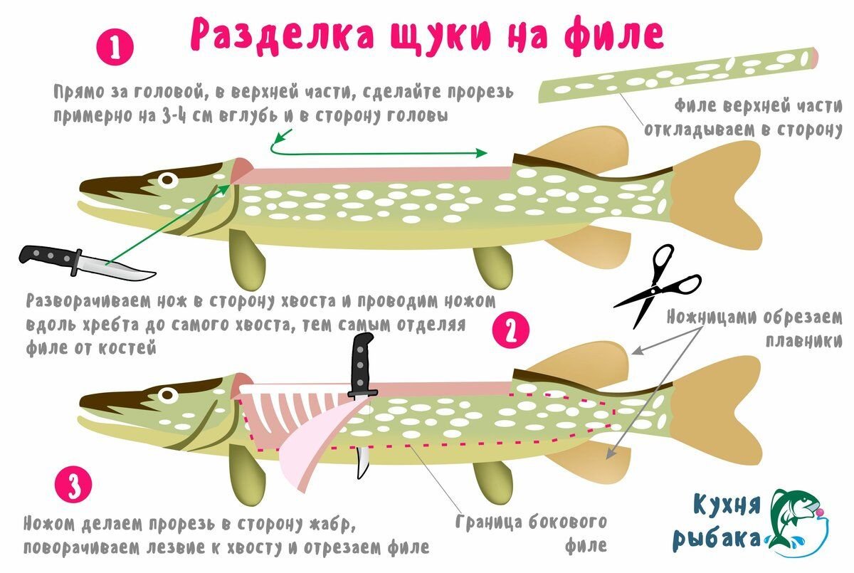 Оснастка донной удочки для ловли форели
