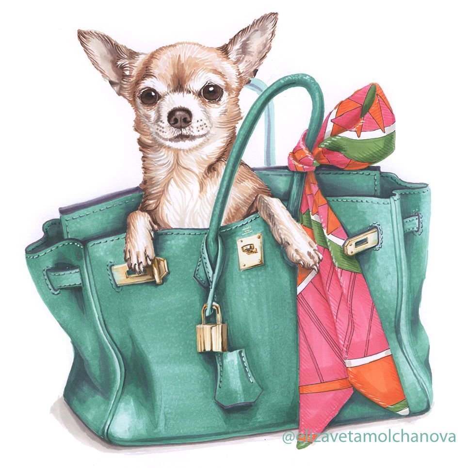 Дамская сумка для собачки