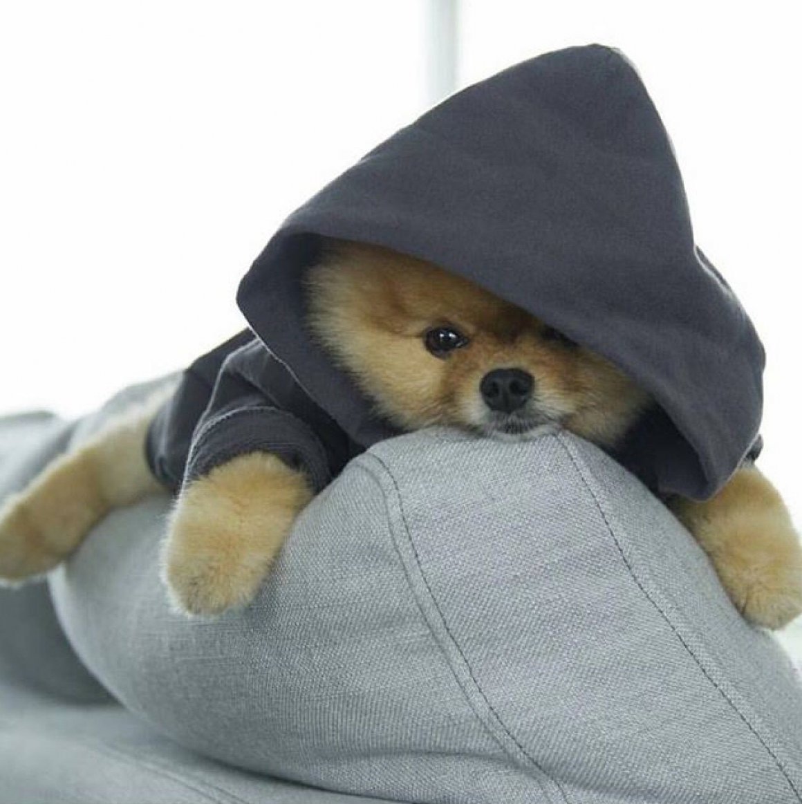 Шунсуке Хаясака