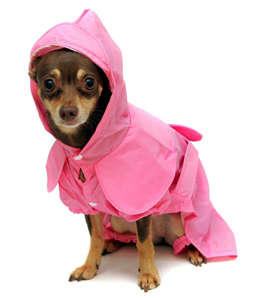 Одежда для собак