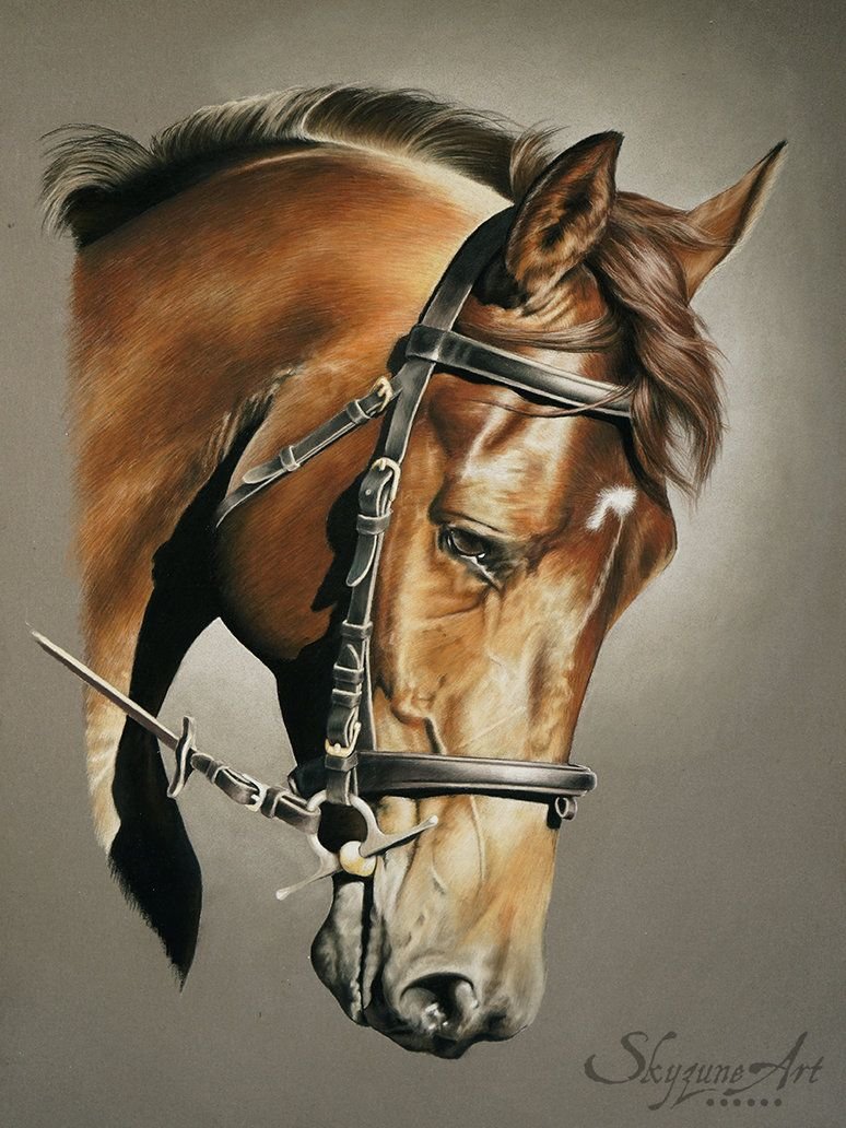 Голова лошади