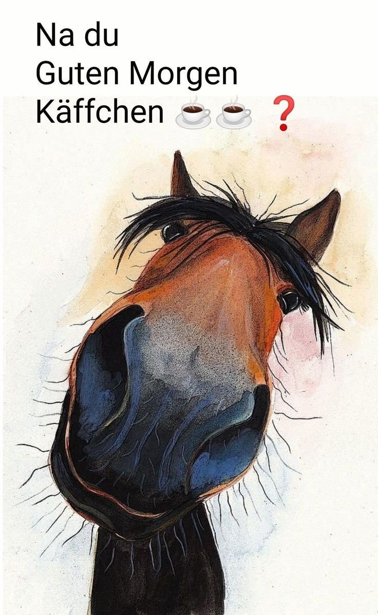 Мод на лошадей