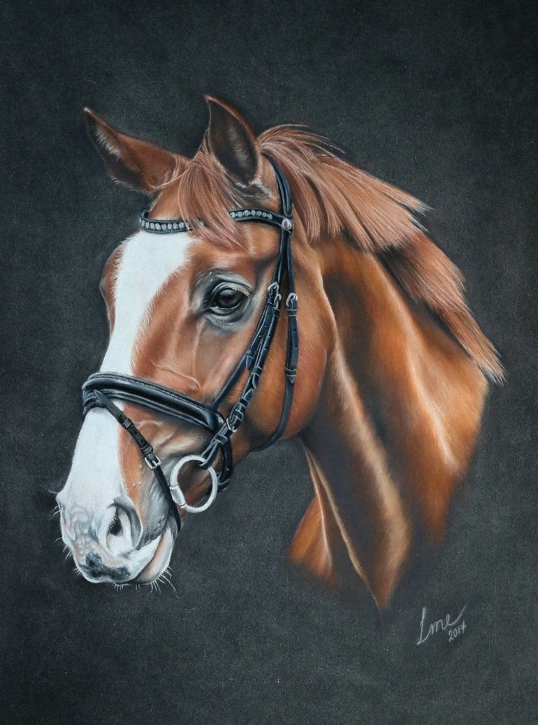 Лошадь бежевая голова