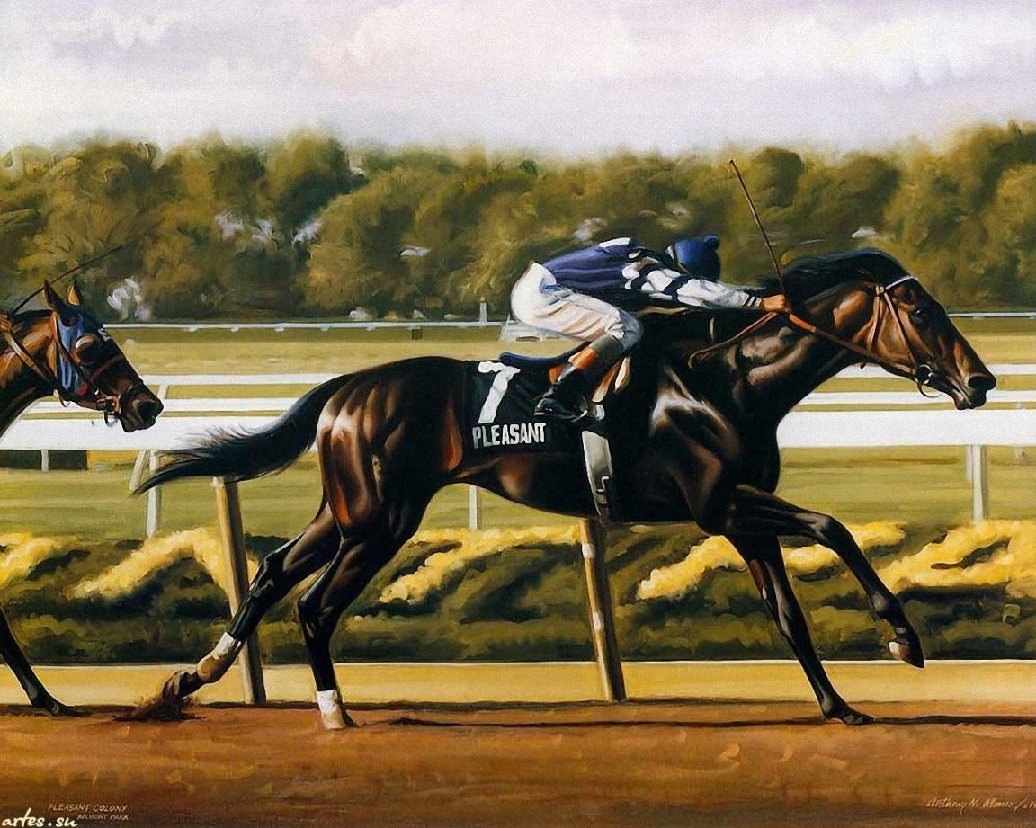 Войтек Квятковский фото лошадей