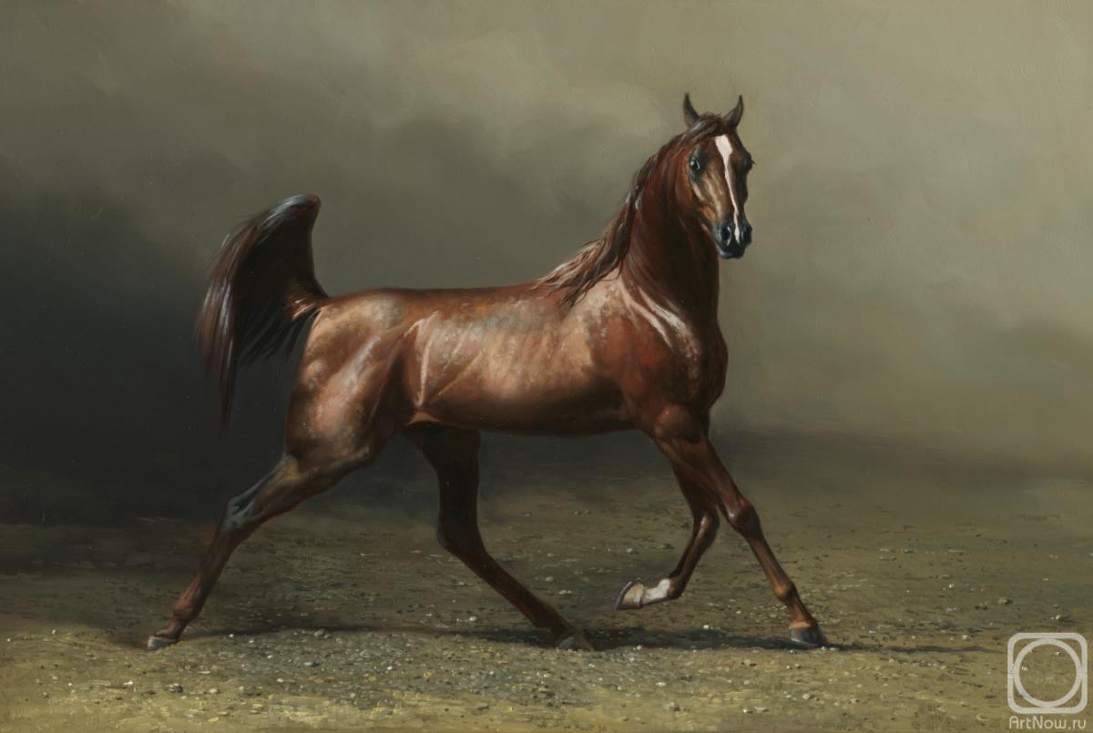 Художник Данчурова лошади