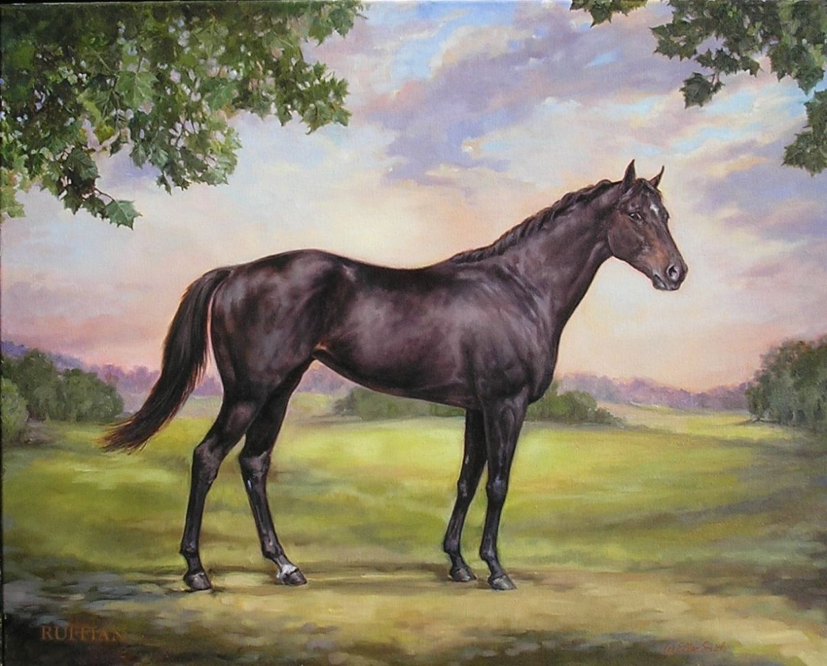 Раффиан лошадь