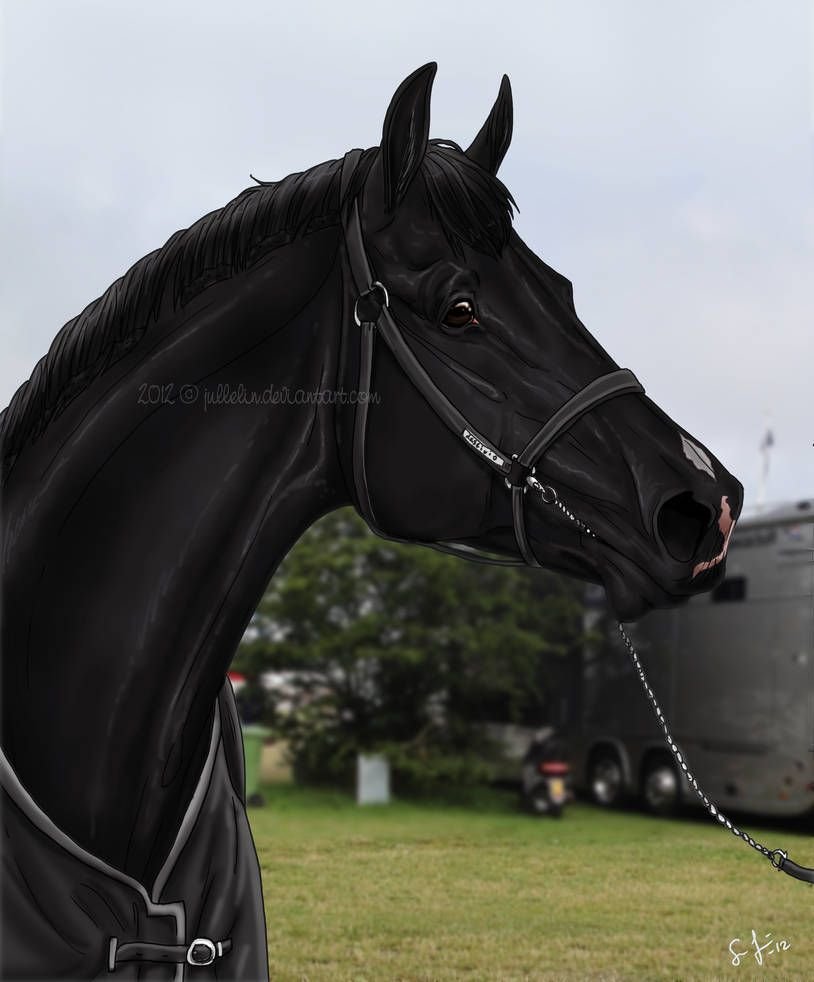 Картина лошади