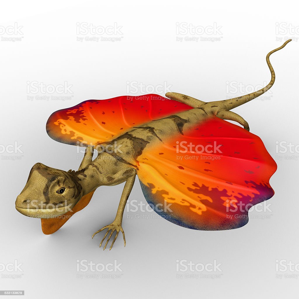 Летающий дракон в воздухе ящерица