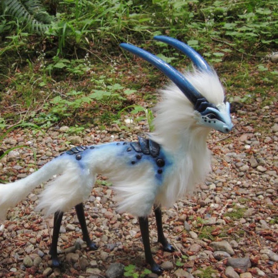 Klipspringer Antelope