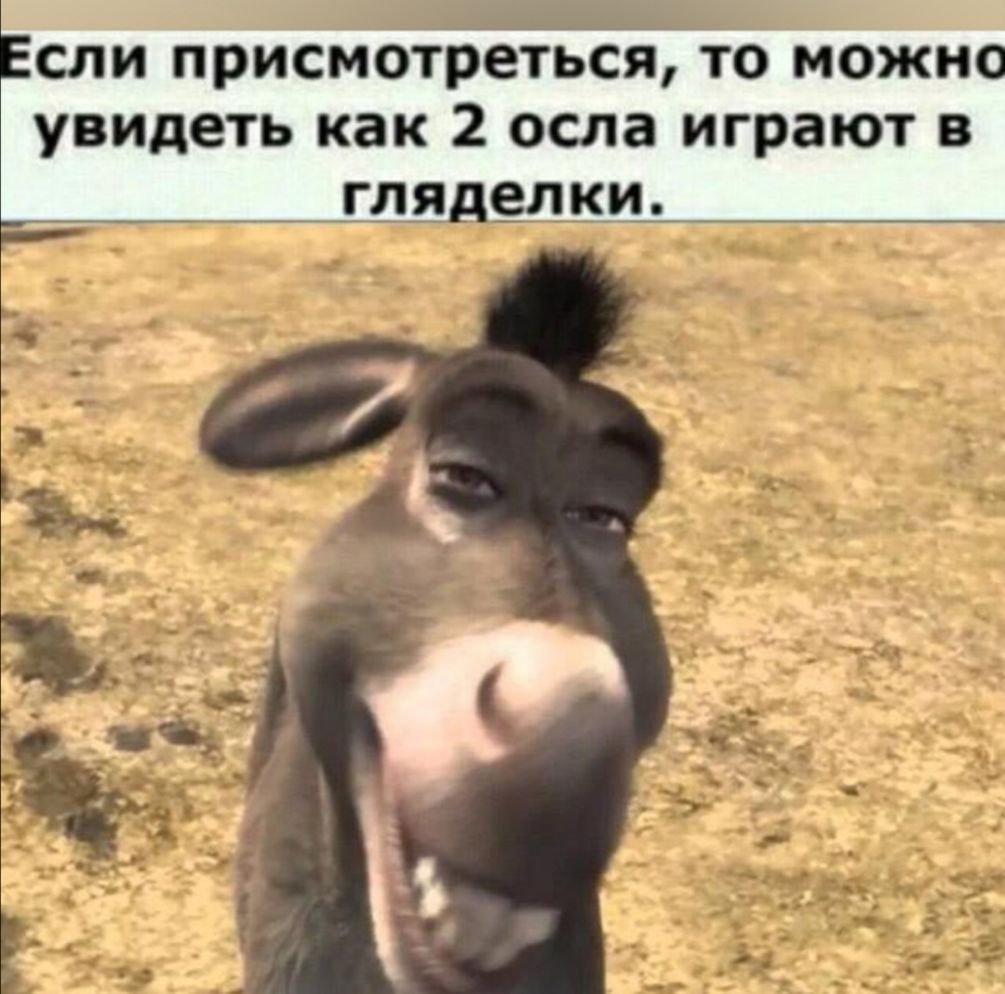 Буриданов осёл притча