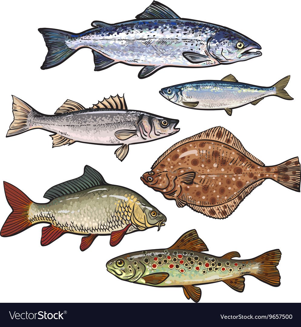 Рыба Речная на печать