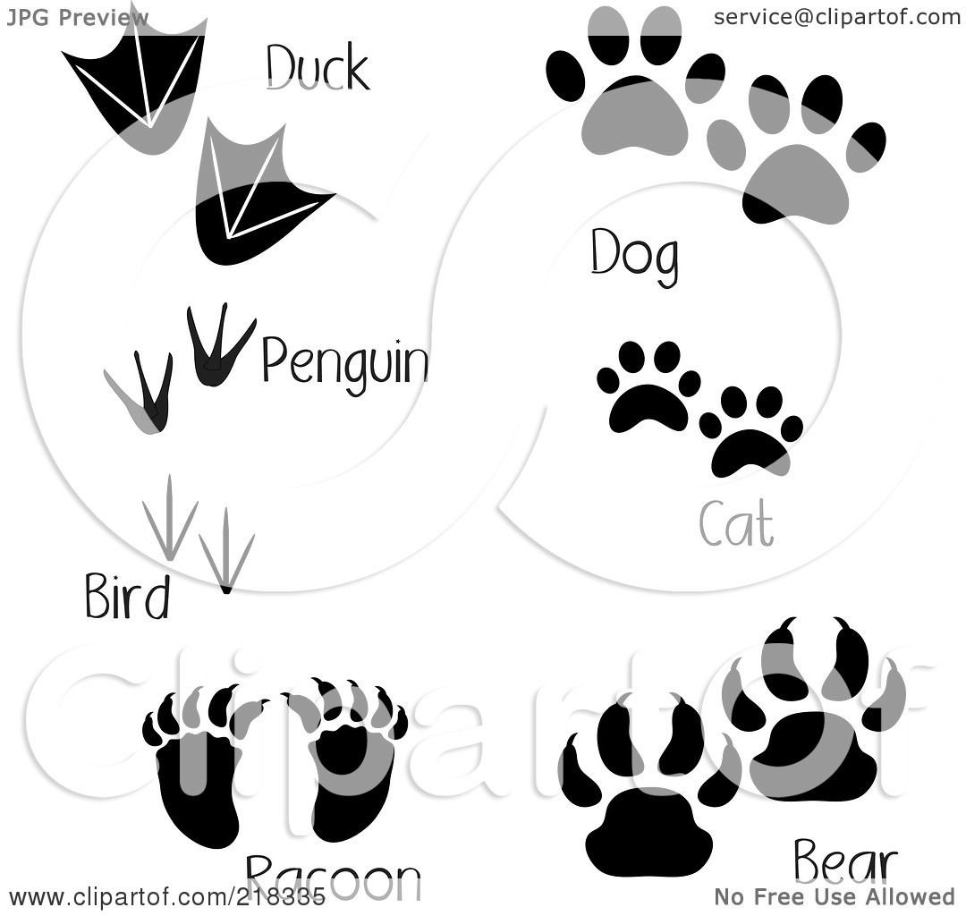 Следы уток силуэт