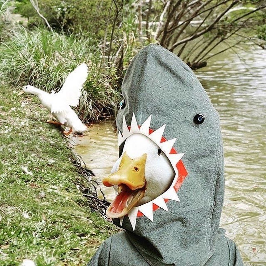 УГАРНАЯ утка