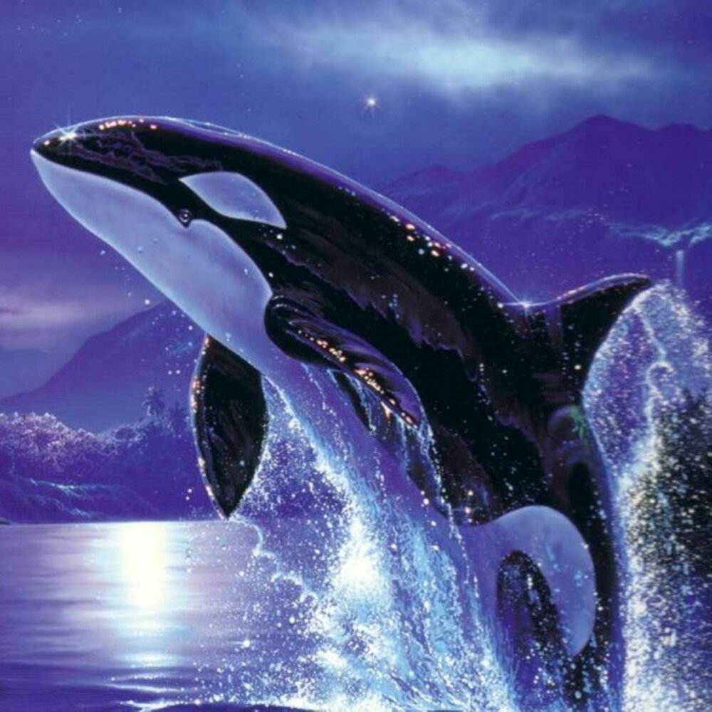 Смешные касатки