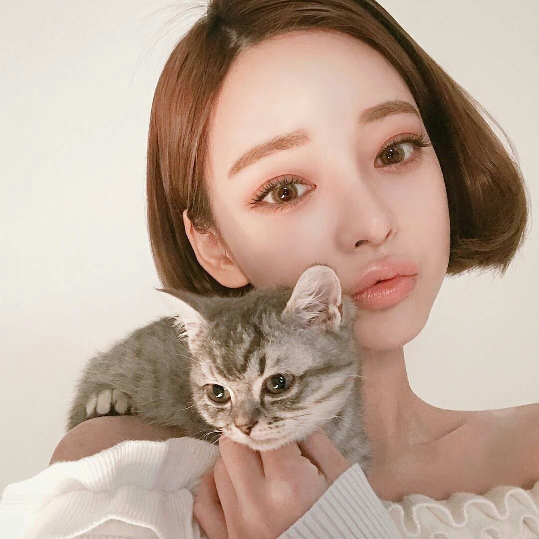 Кореянки с кошками селфи