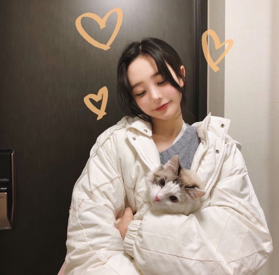 Son Hwa min с котом