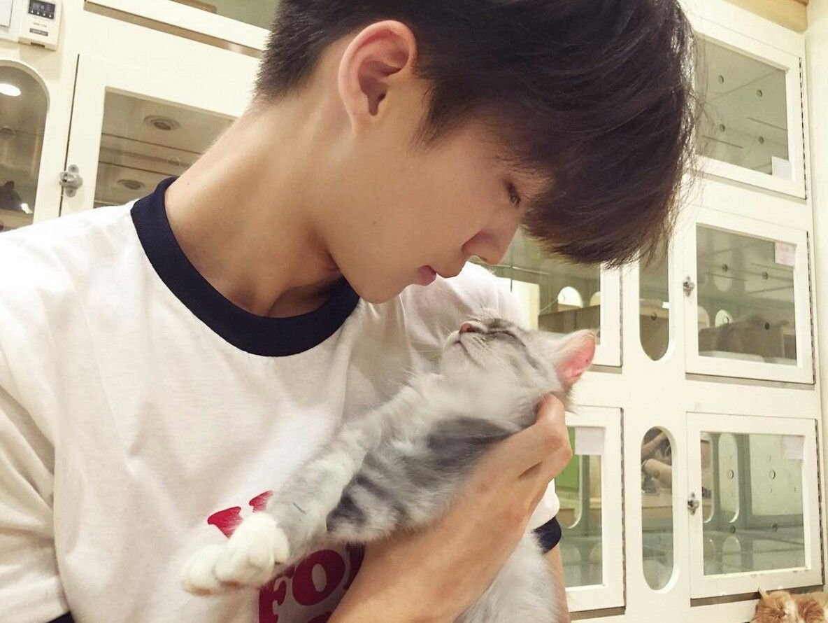 Кореец с котом