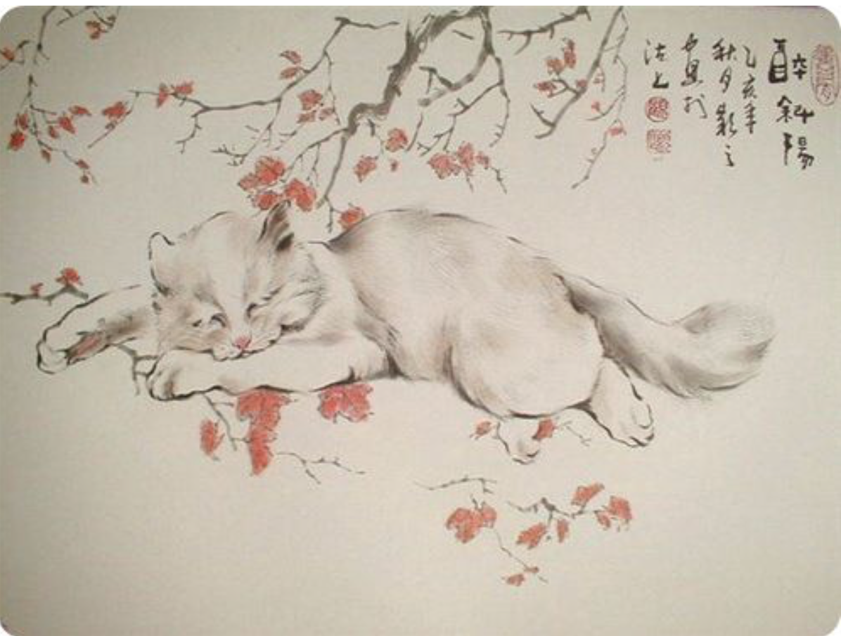 Китайские коты ГУ Йинчжи