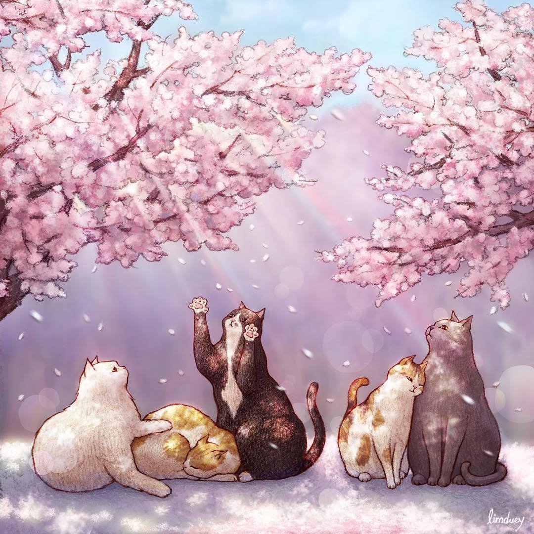 Кошачий мир корейской художницы limduey