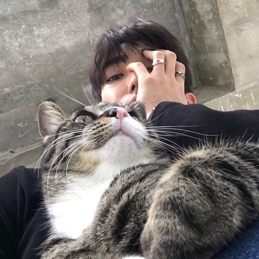 Кореец с котом