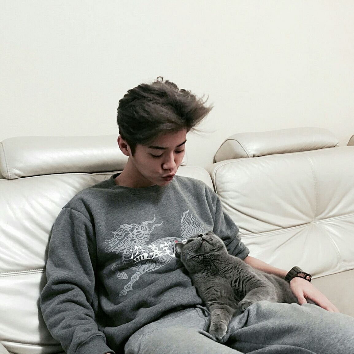 Лухан с котиками