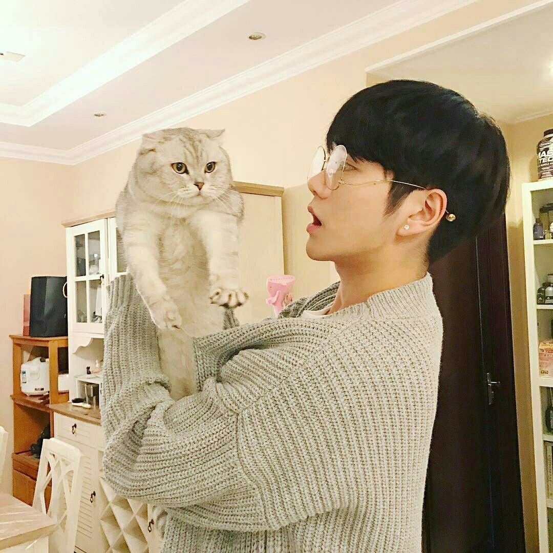 Корейские парни с котиками