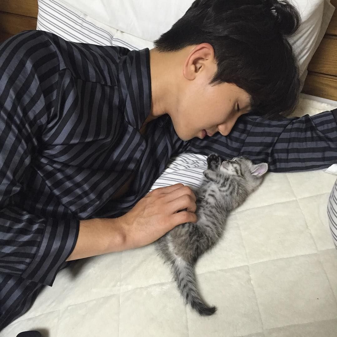 Корейские парни с котиками