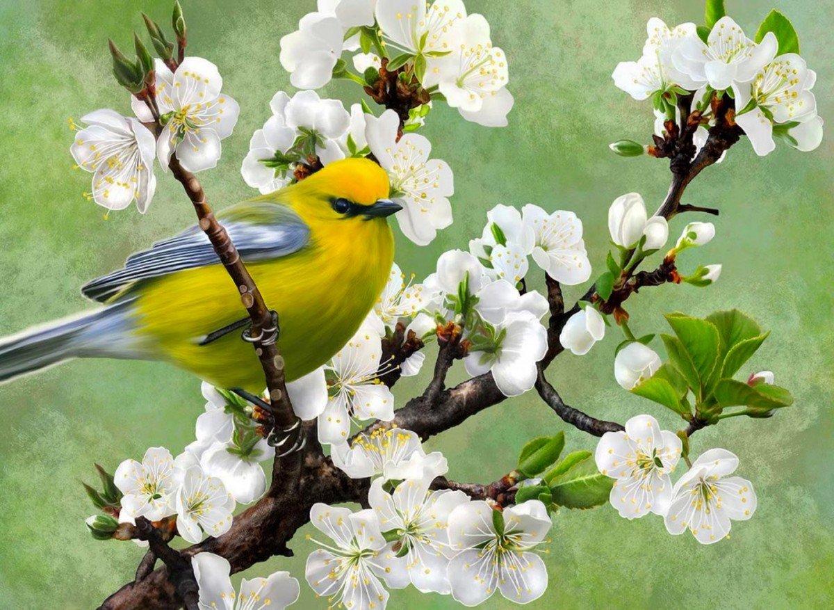 Весенние картины