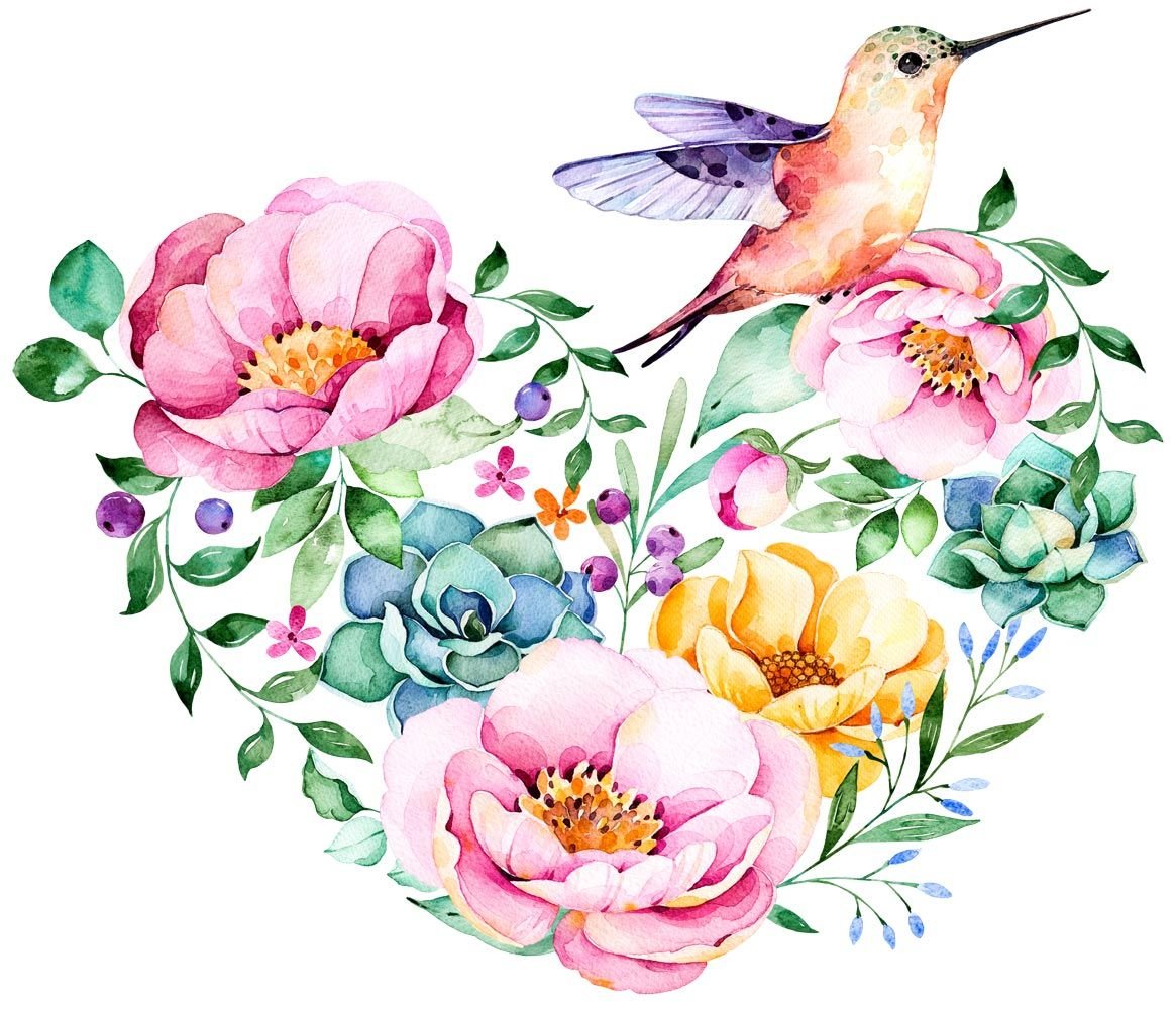 Магнолия Лилифлора