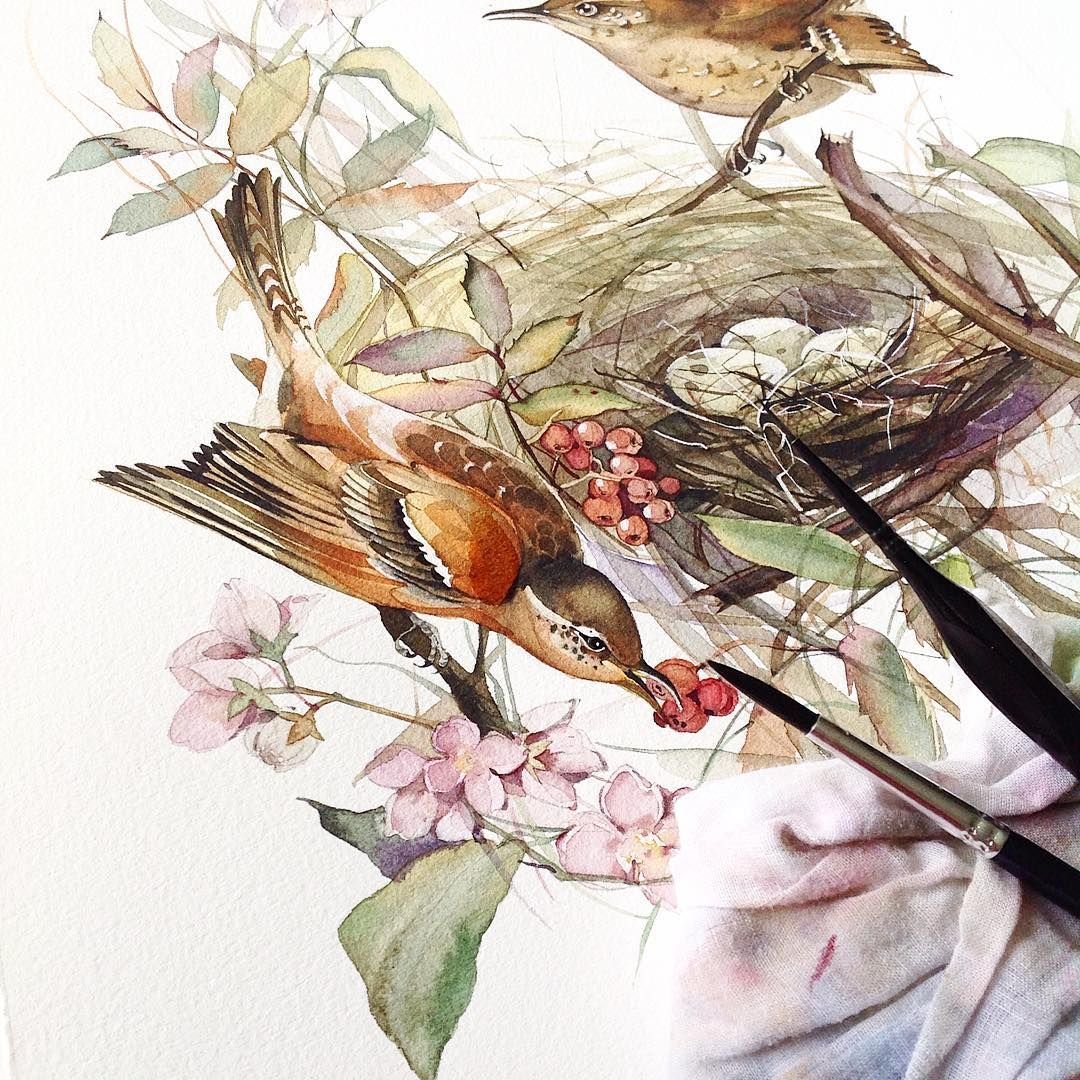 Акварельная живопись птицы и цветы
